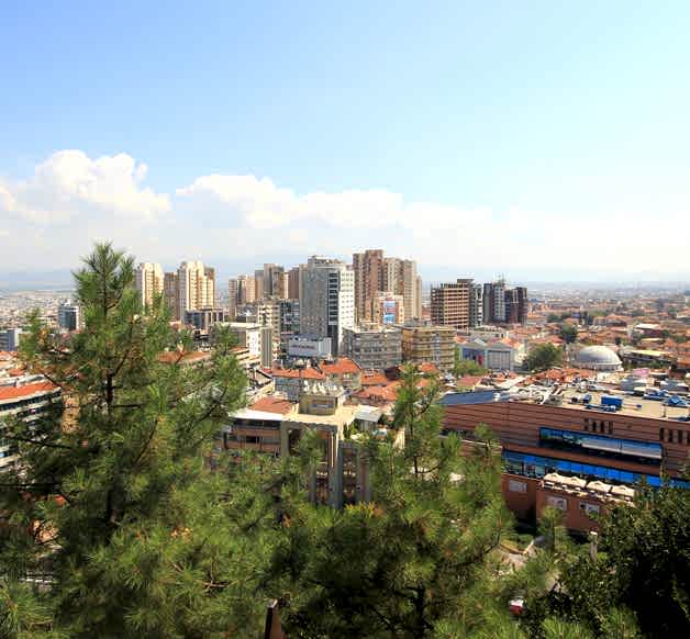 greenbursa2.jpg